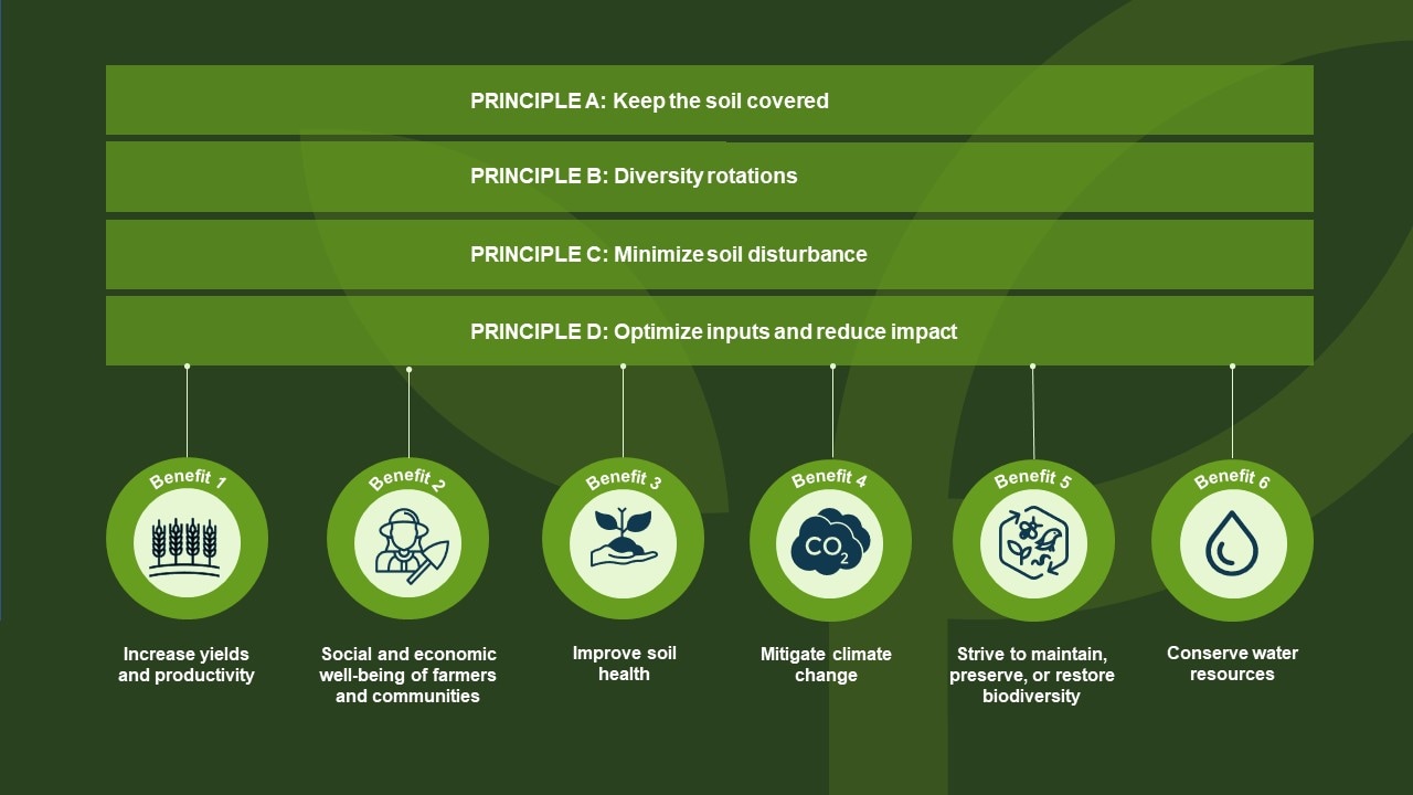 Regenerative Agriculture Bayer Global