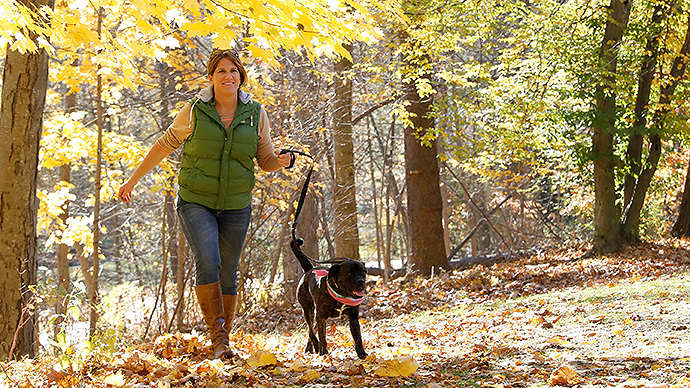 Eine Frau geht im Herbst mit ihrem Hund durch den Wald.