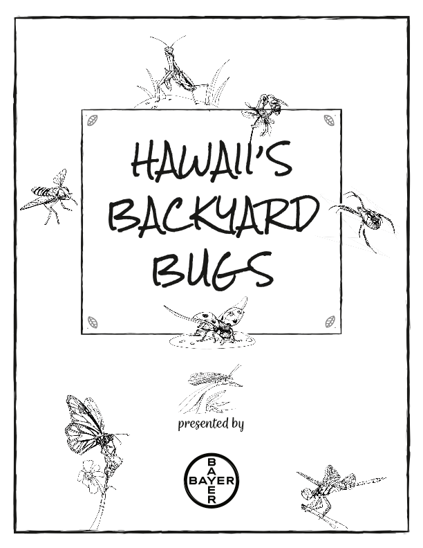 Hawaii's Backyards Bug