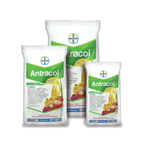 Antracol_id