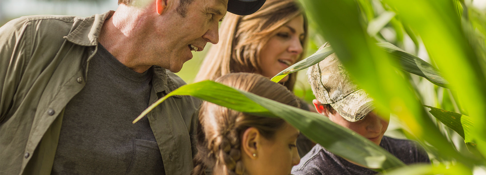 A group of people looking at corn in a field.