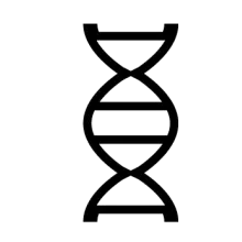 dna strand