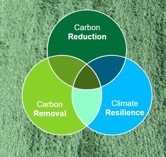 Our Sustainability Targets & Our Progress | Bayer Global