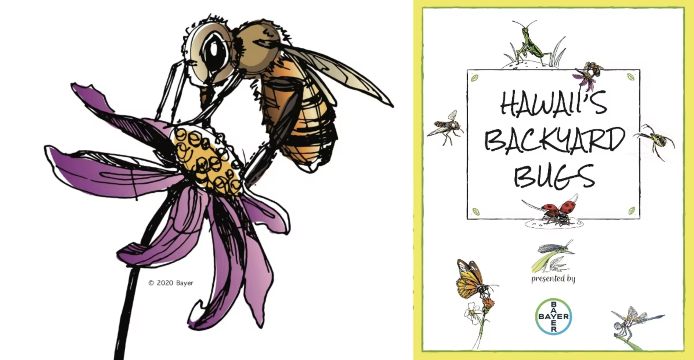 Hawaii’s Backyard Bugs Coloring Book