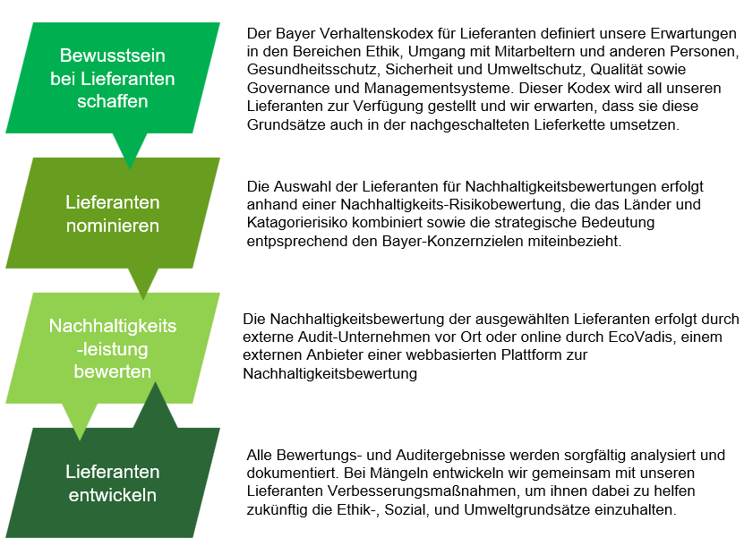 vierstufigen Management Prozess für Nachhaltigkeitspraktiken in der Lieferkette