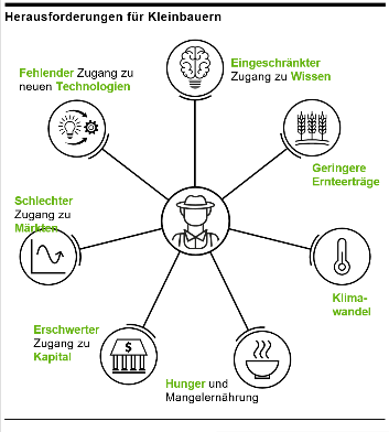 Smallholder Needs 2023_DE