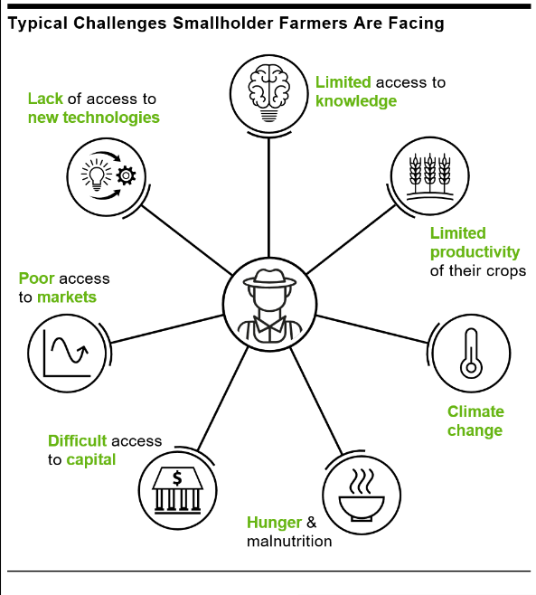 Smallholder Needs 2023_EN