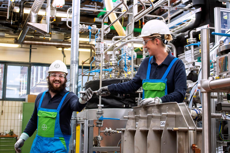 Employees at production site