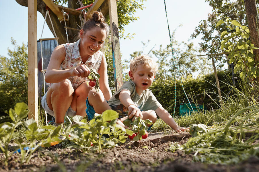 Mother and her son harvesting radishes