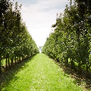 Hollabrunn Agricultural College