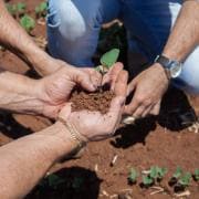 Nossa Senhora Aparecida Farm