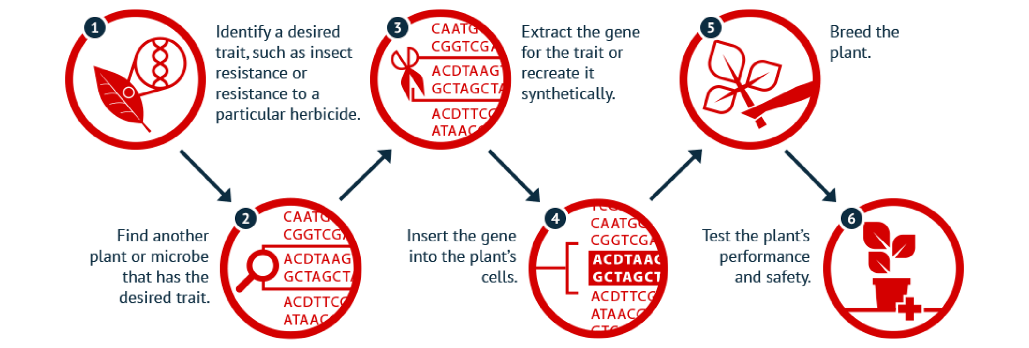 Genetic Engineering image