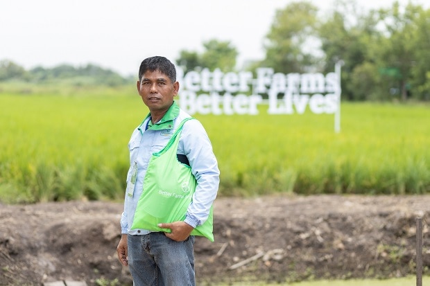 โครงการ Better Farms, Better Lives ช่วยชาวนา สู่ชีวิตวิถีใหม่ด้าน ...