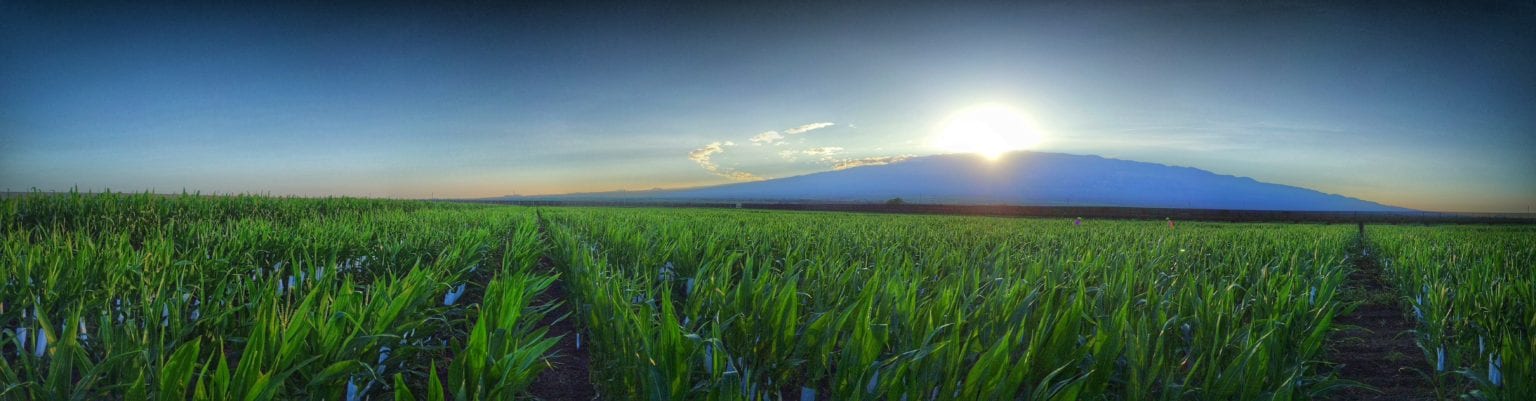 Maui-Farm-picture-panoramic-from-allistair-1-1536x401