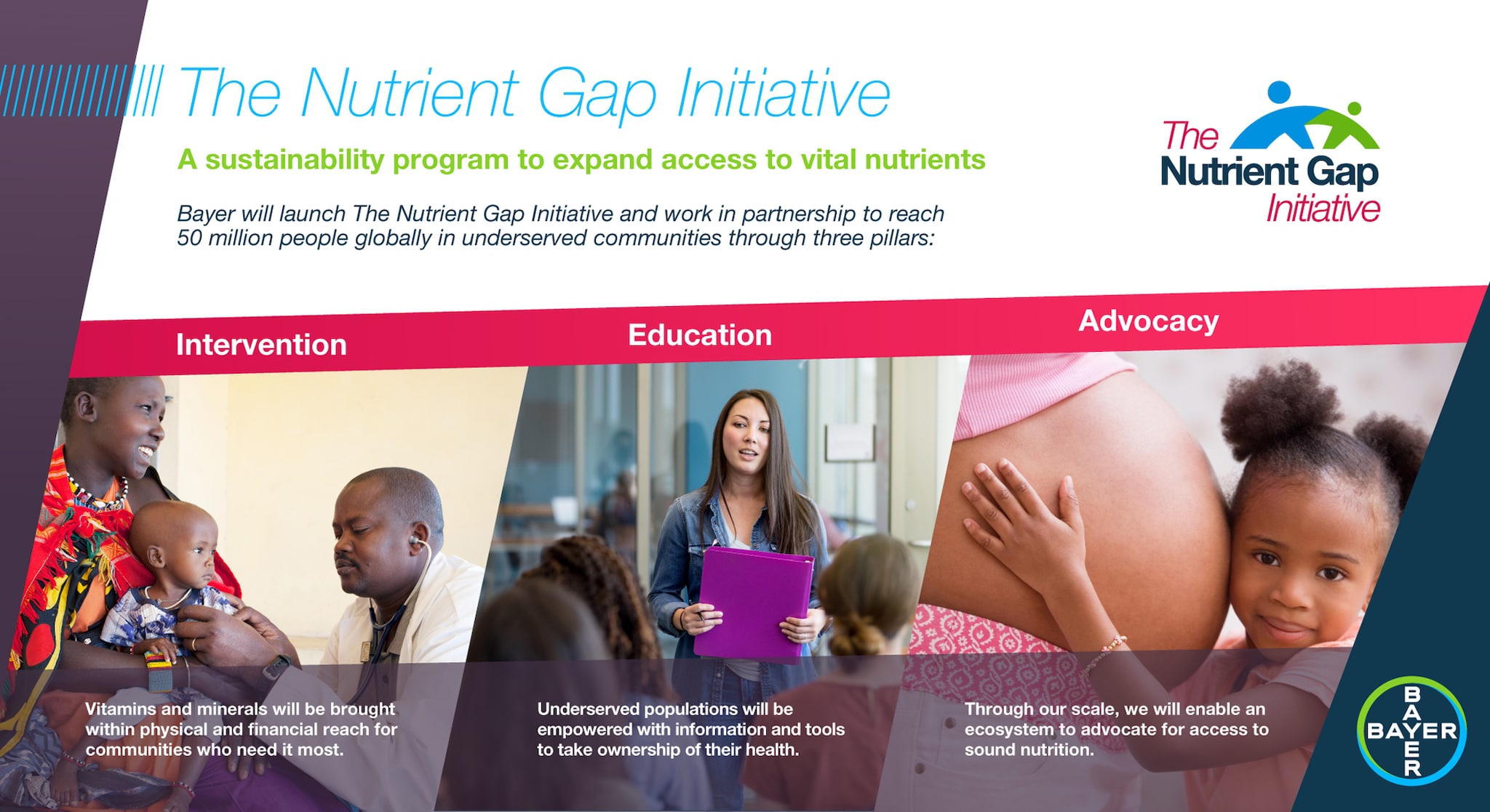 Overview of the Nutrient Gap Initiative