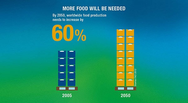 chart_food_requirements_english-600x330_0.jpg