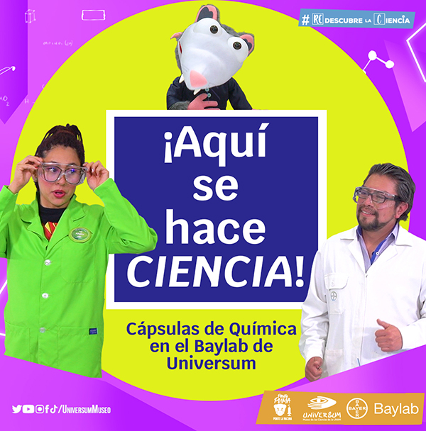 CienciaBaylab600