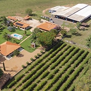 Fazenda Estancia