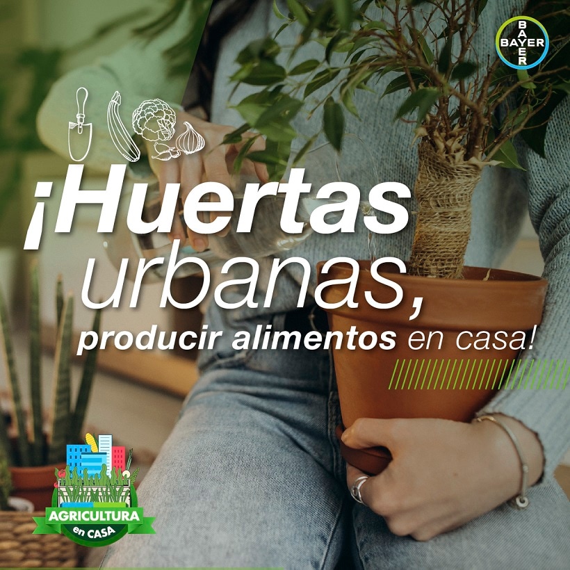 Huertas urbanas