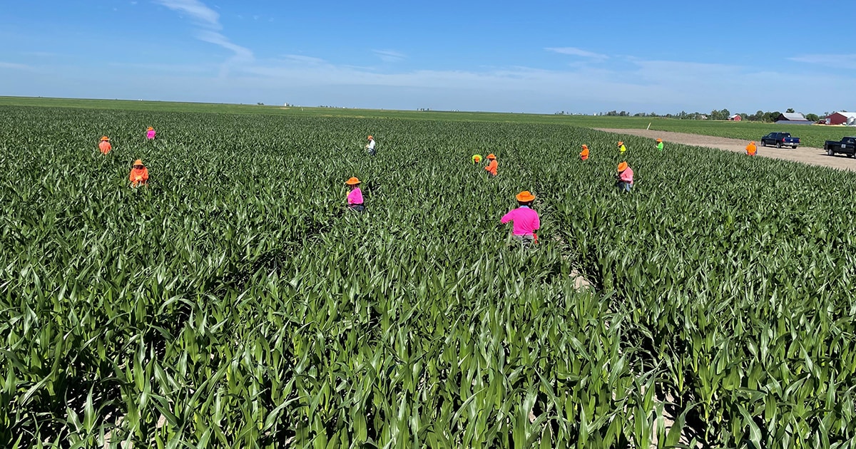 FARM Apprenticeship Program students in a field in Monmouth Iowa