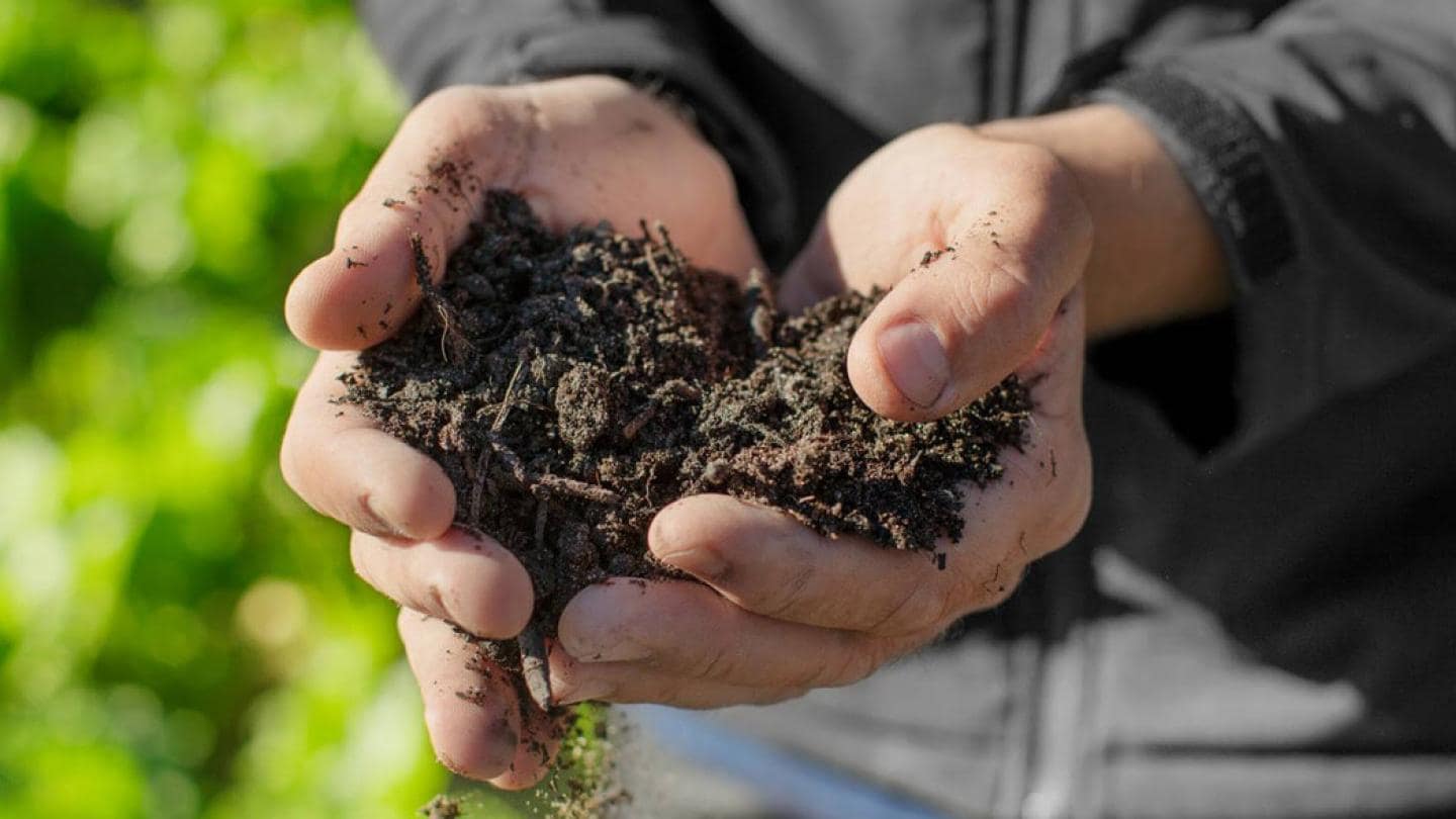 A man's hands holding soil in a field.