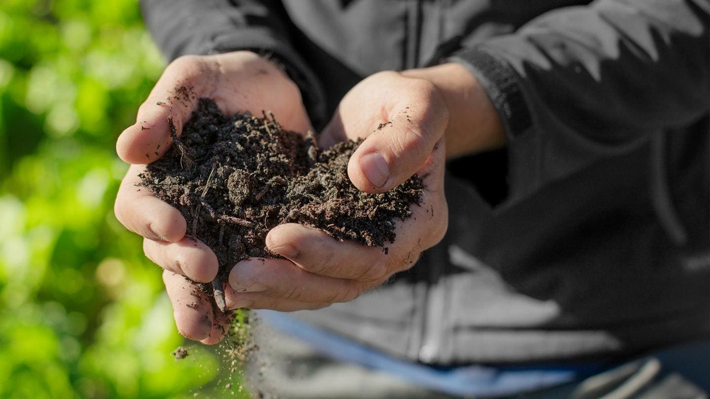 A man's hands holding soil in front of a green field.