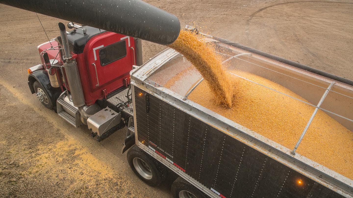 A semi truck is pouring corn into a trailer.