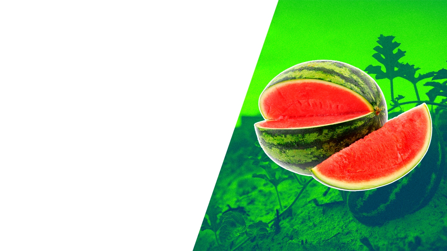 Watermelon 