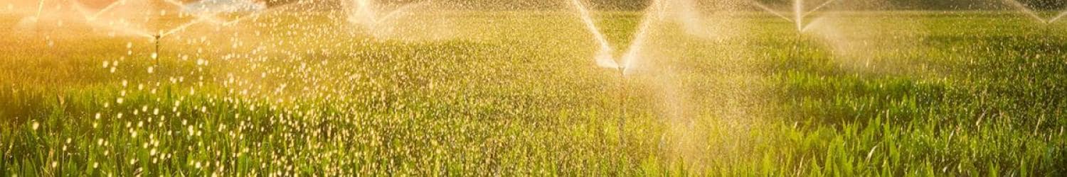 Wassersprinkler auf einem Feld bei Sonnenuntergang.