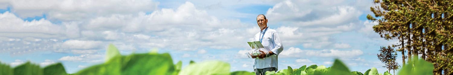 Ein Mann steht auf einem Feld voller grüner Pflanzen.