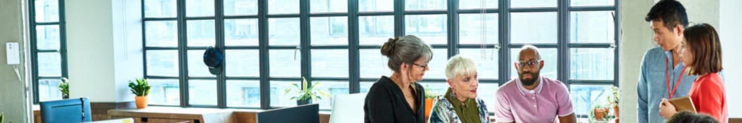 Diverse group of colleagues in a meeting