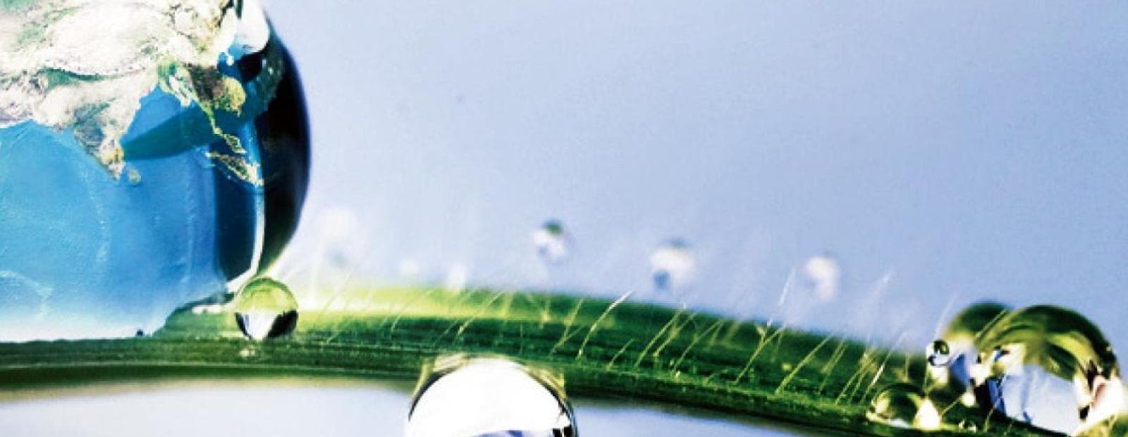 An image of a water droplet on a green leaf.