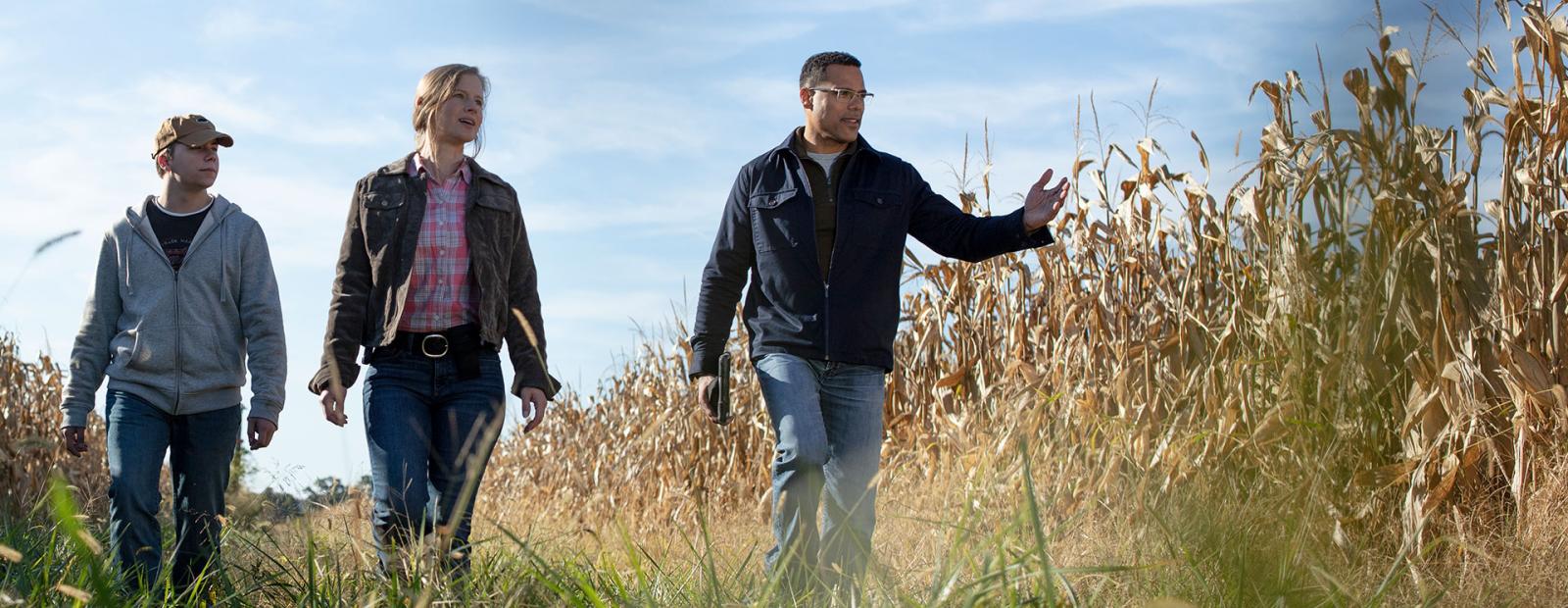 Three farmers in a corn field