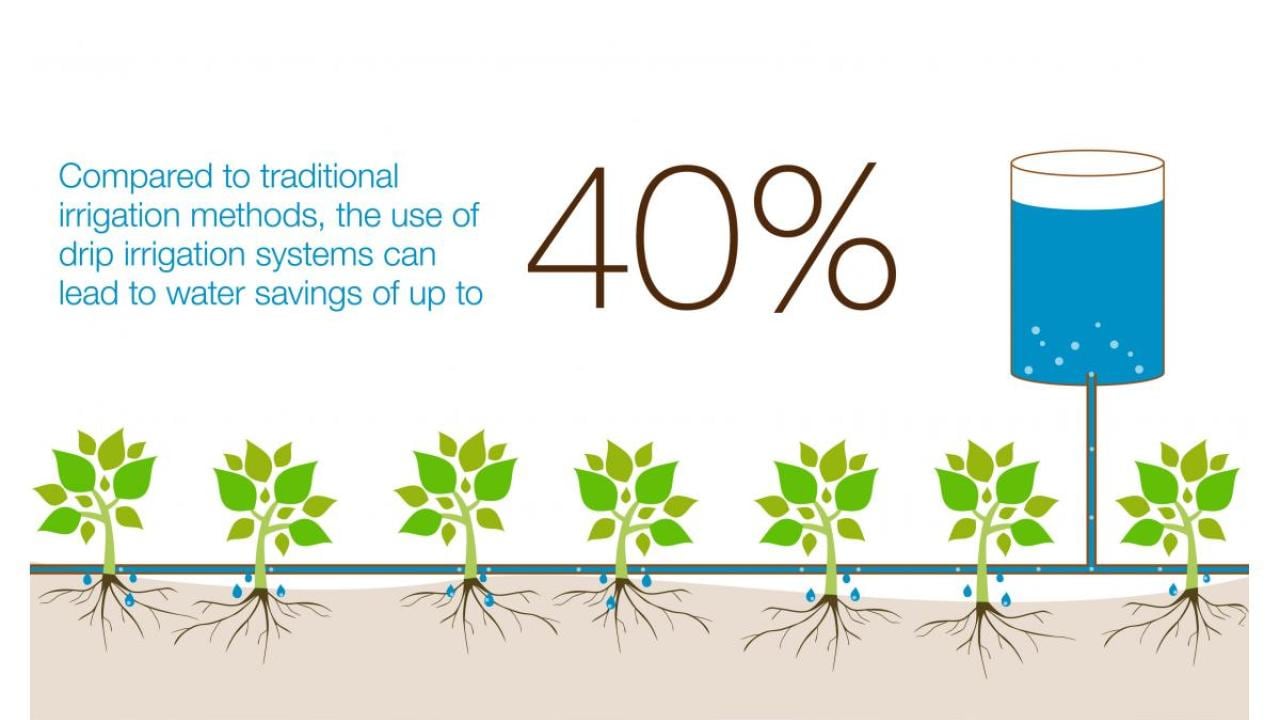 Agriculture And Efficient Water Usage | Bayer Global