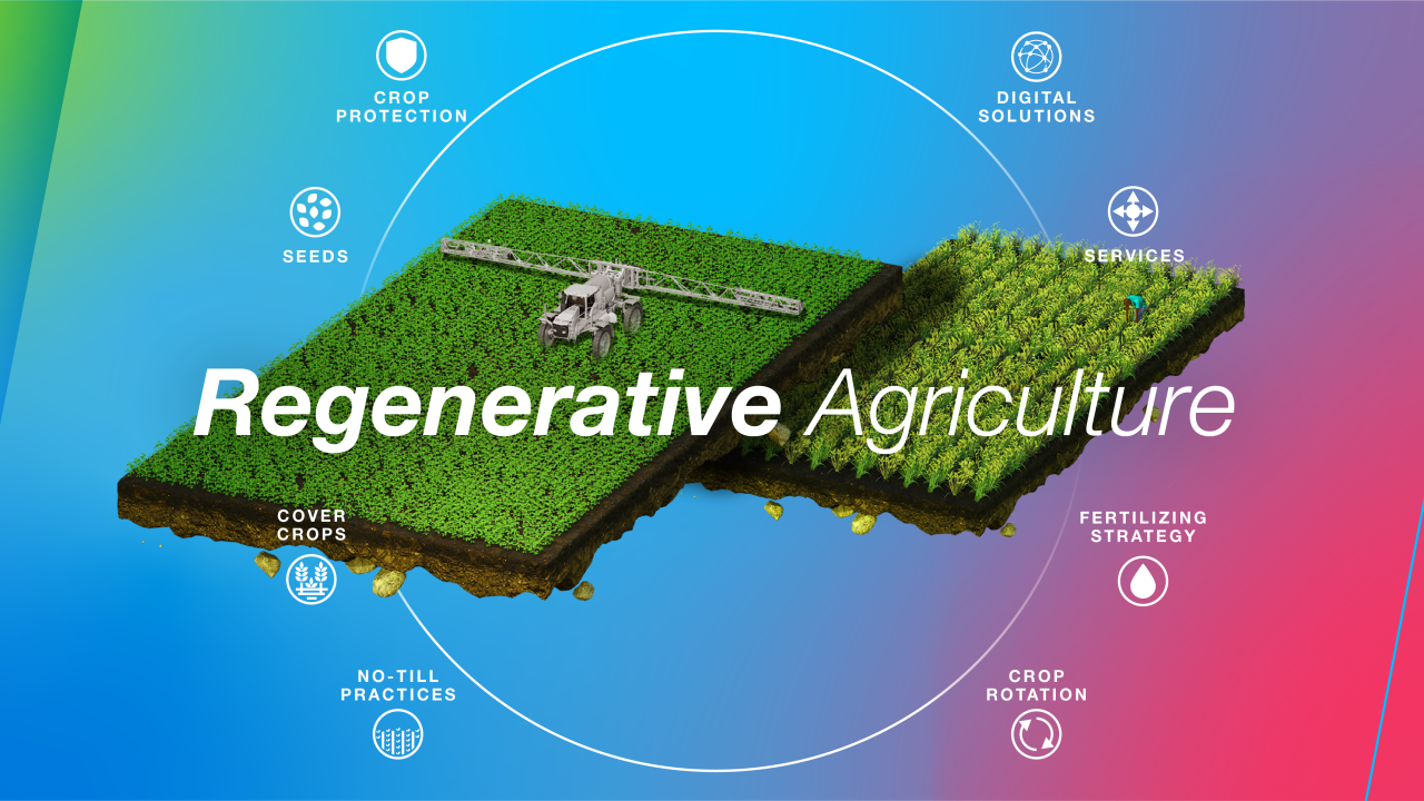 Regenerative Agriculture At Bayer | Bayer Global