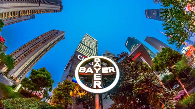 Discover Our Services For Media | Bayer Global