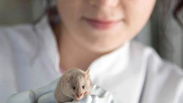 A woman is holding a mouse in her hands.