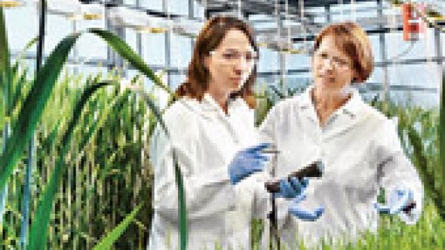 Two women in lab coats looking at plants in a greenhouse.