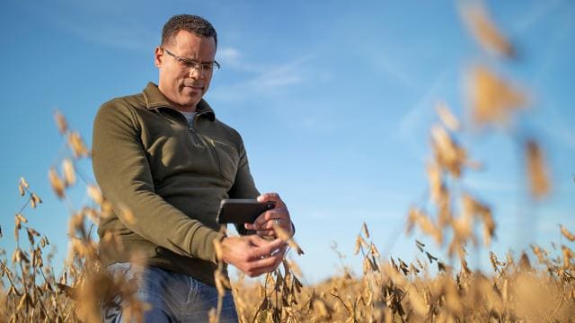 A man holding a tablet in a field of oats.