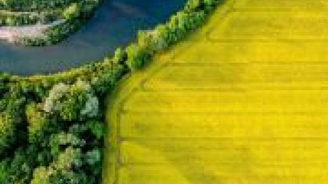 An aerial view of a yellow field and a river.