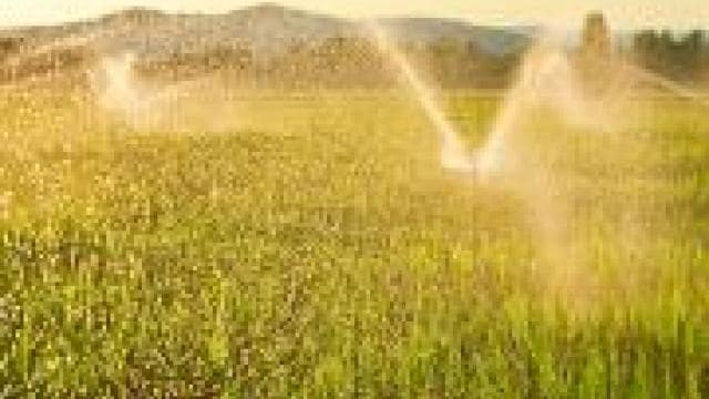 A sprinkler is spraying water on a field at sunset.