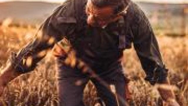 A man is picking wheat in a field at sunset.