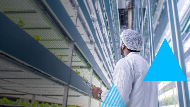 A man in a lab looking at plants in a greenhouse.