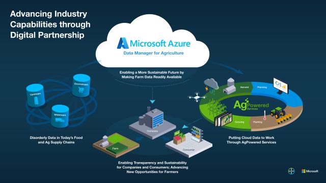 Scaling sustainability through Bayer & Microsoft partnership