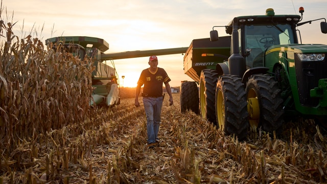 Farmer walking through his field