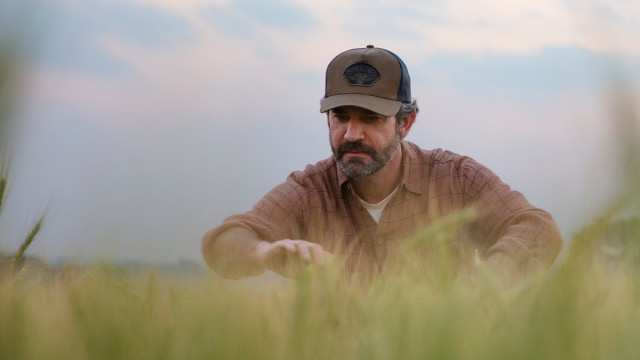 A farmer inspecting his field for weeds. 