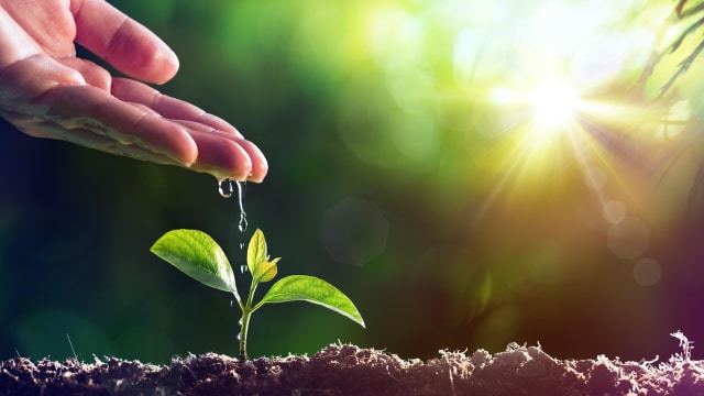 Hand watering sprout