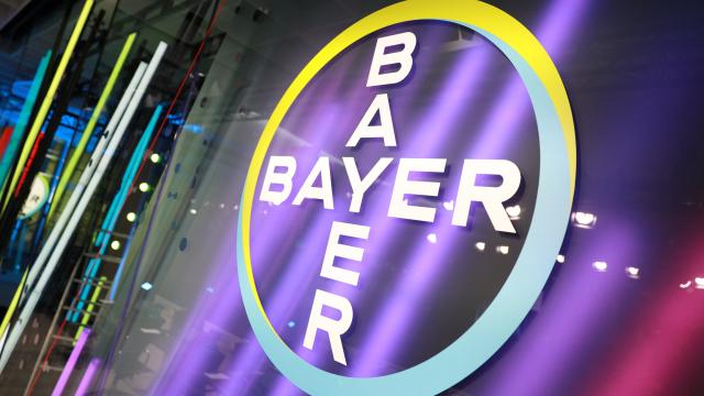 Bayer Cross purple