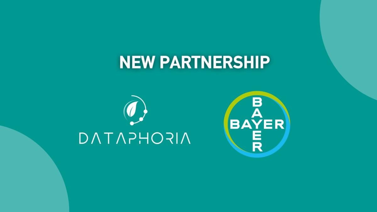 Bayer Ελλάς & Dataphoria:   Συνεργασία με Επίκεντρο τη Βιωσιμότητα μέσω  ESG Analytics   