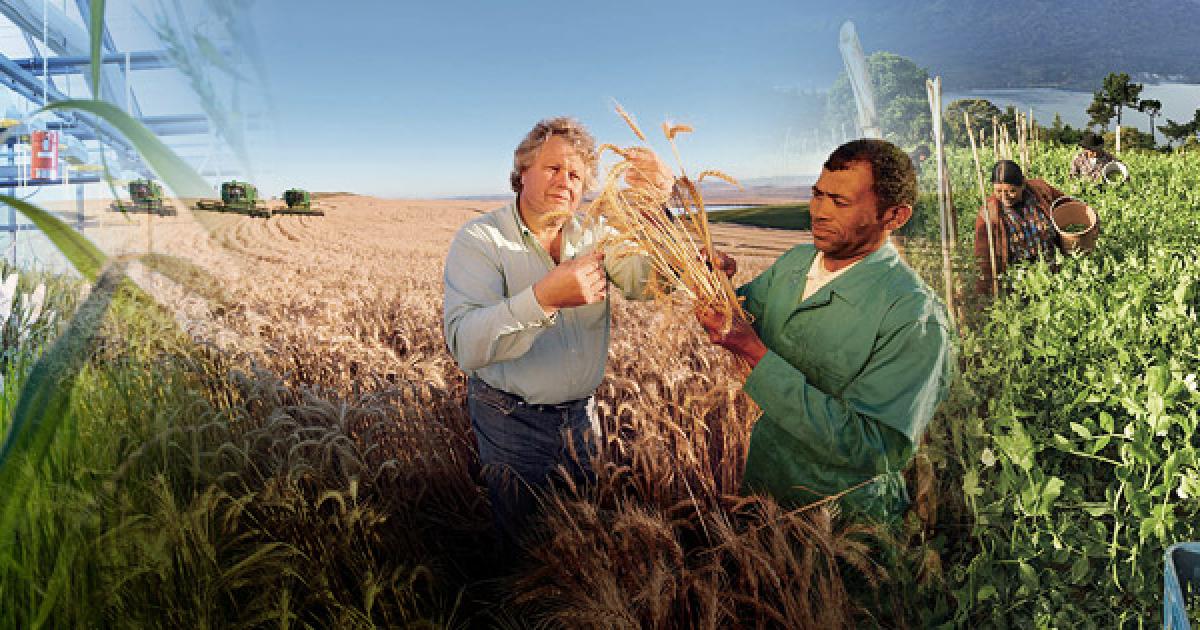 Crop Science | Bayer Spain